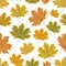 Mapple leaves seamless pattern. Autumn background.