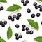 Maqui berry seamless pattern on white background. Branch of fresh healthy berries and green leaves.