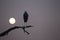 Marabou stork perched on a branch with the moon as background