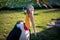 Marabou Stork Portrait