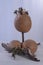 maraca Cuban musical instrument indigenous crafts made from brown gourd