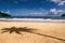 Maracas bay Trinidad and Tobago beach palm tree shadow