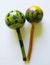 Maracas Cuban folk musical instrument on a white background