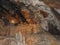 Marakoopa Cave, Tasmania