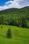 Maramures Mountains seen from Prislop Pass, Romania, Europe