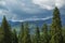 Maramures Mountains seen from Prislop Pass, Romania, Europe