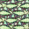 Maranta striped green leaves, hand painted watercolor illustration seamless pattern