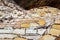 MARAS, CUSCO REGION, PERU- JUNE 6, 2013: Salt mines of Maras- Thousands of uneven square-shaped ponds dot the hillside slopes