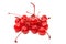 maraschino cherry isolated