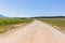 Marathon Runners Farmlands