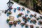 MARBELLA, ANDALUCIA/SPAIN - MAY 23 : Red Flowers in Blue Flowerpots in the Old Town of Marbella Spain on May 23, 2016.