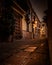 Marbella street at ground level at night, with brown tile perspective