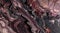 Marble background of eggplant-colored layers and rugged veining. Generative AI