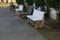 Marble chair spaces for lounging in the optional focus outdoor park.