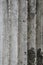 Marble column background