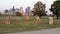 Marble cows by Harold Fooshee Clayton standing in Trinity Lake Park in Dallas, Texas.