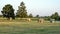 Marble cows by Harold Fooshee Clayton standing in Trinity Lake Park in Dallas, Texas.