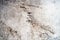 Marble Doted Ceramic Stone Surface Texture. Rough Scratched Grunge Background