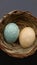 Marble eggs into a small straw basket.