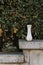 Marble empty vase on green leaves background outdoors