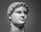 Marble head of Nero Roman Emperor