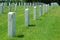 Marble Headstones in a Graveyard