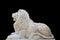 Marble lion