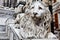 Marble Lion Guarding Cathedral of Saint Lawrence