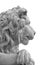 Marble lion head isolated