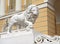 Marble lions (lions Medici)