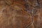 Marble pattern of bright orange color with interesting branched veins is called Bidasar Brown
