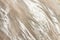 Marble patterned (natural patterns) texture background.