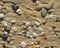 Marble pebbles scattered on the sand