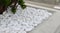 marble pebles white concrete yew mulch garden flower pot