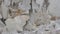 Marble quarry, white marble, stone cutting