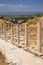 Marble Road Ephesus Turkey