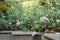 Marble Rock made Steps and staircases park bench of a public park Decorated with flower plants. Front or back yard garden design