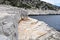 Marble seacoast on island Thasos