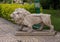 Marble statue of a lion in the garden of the Winter Palace in Luxor, Egypt.