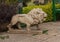 Marble statue of a lion in the garden of the Winter Palace in Luxor, Egypt.