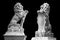 Marble statue of lion holding a shield in its paws. Regal lion leaning on empty heraldic shield isolated on black.