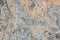 Marble stone texture with varied pattern with fine lines.