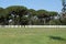 marble tombstones inside the American Cemetery of Nettuno, Rome, Italy