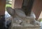 Marble Turtle sculpture with stele on back, Thien Mu Pagoda, Hue, Vietnam