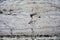 Marble wall background, antique building, in Venice, Italy