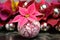 marbled pink poinsettia with colorful baubles in the backdrop