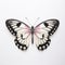 Marbled White Butterfly With Pale Pink And Black Wings