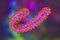 Marburg virus, 3D illustration. RNA viruses that cause Marburg haemorrhagic fever