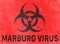 Marburg virus, biohazards, refer to biological substances that pose a threat to the health of living organisms, viruses