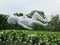 Marc Quinn's giant baby sculpture